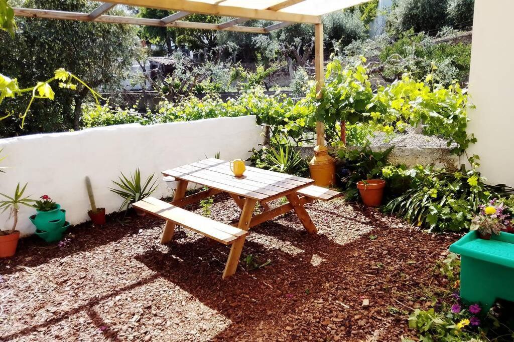 Willa Petal House Beirã Zewnętrze zdjęcie