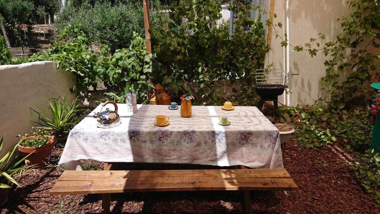 Willa Petal House Beirã Zewnętrze zdjęcie
