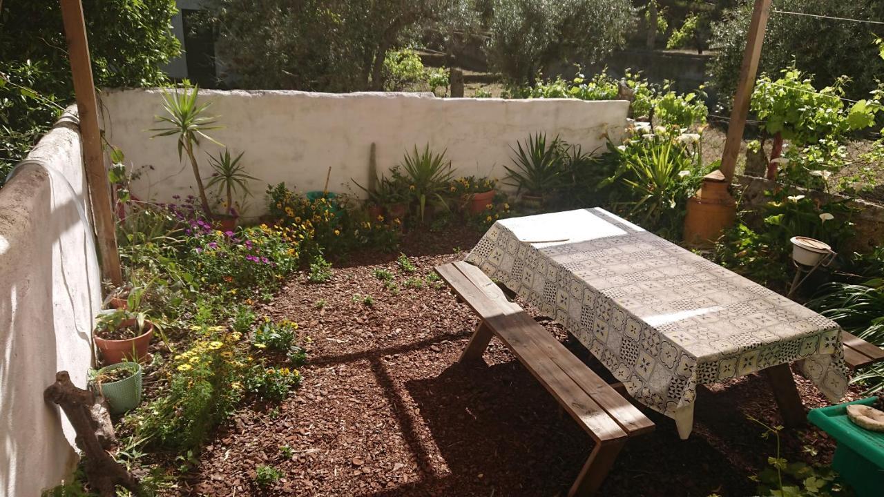 Willa Petal House Beirã Zewnętrze zdjęcie